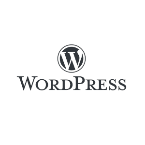 wordpress posicionamiento web seo